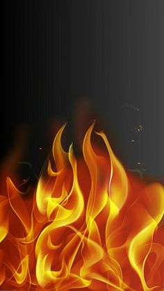 fire flames on a black background with space for text