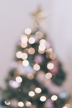 a close up of a small christmas tree with lights on it's base and blurry background