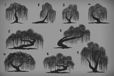 various stages of growing trees in black and white