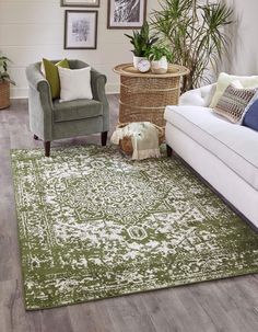 a living room with white furniture and green rugs on the hardwood floor, along with plants