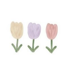 three different colored tulips with green stems