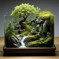 a bonsai tree in a glass case with moss growing on the rocks and water