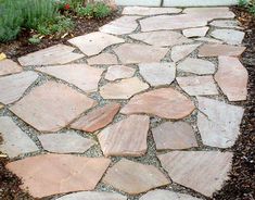 a stone path in the middle of a garden