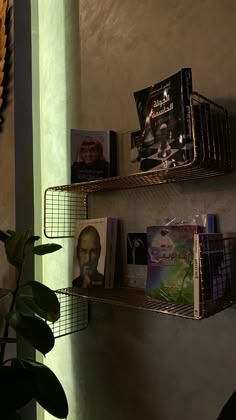 two metal shelves with books on them next to a potted plant and a mirror