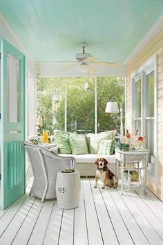 a dog sitting on the porch in front of a couch and table with green pillows