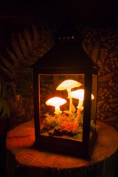 a lantern with mushrooms in it sitting on top of a tree stump