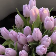 a bunch of pink tulips with green leaves