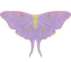 PRICES MAY VARY. ❀【Silky Fairy Wings】: Fairy Wings for Adults, inspired by Luna Moth. Deluxe Material & Fairy Looks must get countless compliments, perfect for Fairy Butterfly Party and Daily Dress Up. ❀【FLY AS FAERIES】: Butterfly Wings for Women made of Silky & Comfy Chiffon, 2 Sides Style, Vibrant & Glossy. Size 66.9’’*42.5’’, fits Most Adults. With Glittery Shoulder Straps and Wrist Loops, Fairy Wings Women move very nicely with the air and follow the movement of the arms. What’s more, Butter Luna Moth Costume, Moth Ren Faire, How To Make Moth Wings Costume, Moth Cape, Luna Moth Fairy Wings, Moth Cosplay Wings, Toddler Fairy Wings, Butterfly Halloween Costume, Butterfly Halloween