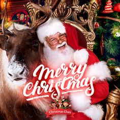 a man in santa claus suit sitting next to a reindeer with christmas decorations on it