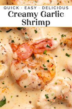 creamy garlic shrimp in a white sauce