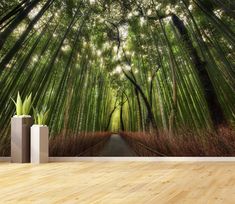 an image of a bamboo forest wallpaper mural in a room with wooden flooring