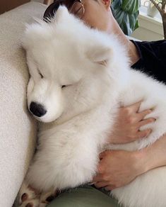 a woman is holding a white dog on her lap while she sleeps with her eyes closed