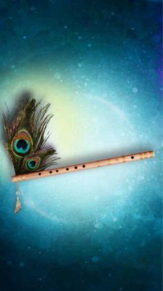 a musical instrument with a peacock feather on it's side and a blue background