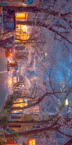 the city street is lined with parked cars and trees in blooming cherry blossoms at night