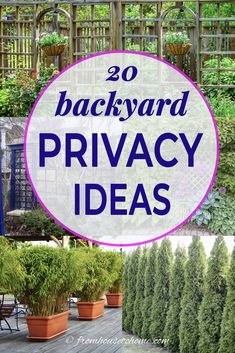 backyard privacy ideas that are easy to do and great for small gardens, trees or bushes