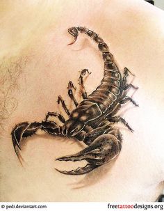 a scorpion tattoo on the back of a man