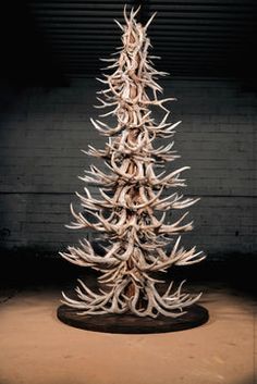 a whitetail christmas tree made out of antlers