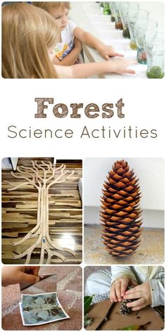 a collage of photos with the words forest science activities on it and pictures of pine cones