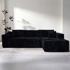 a black couch sitting on top of a white rug