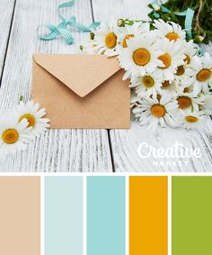 an envelope with daisies on the table next to it and color swatches for each card