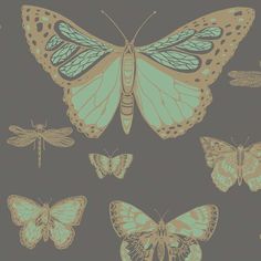 butterflies and dragonflies on a gray background