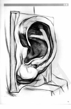 a pencil drawing of an ear in a square box with the top section open and part of it partially closed