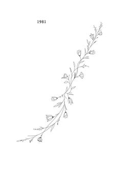 a line drawing of flowers and leaves on a white background, with the word'1908 written in black ink