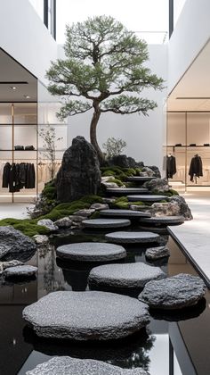 a bonsai tree in the middle of a room filled with rocks and moss growing on it