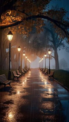 a row of benches sitting on top of a rain covered park next to street lamps