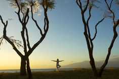 a person standing in front of some trees with their arms spread out and the sun setting behind them