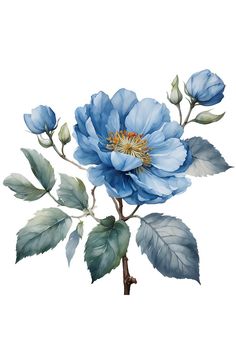 a blue flower with green leaves on a white background