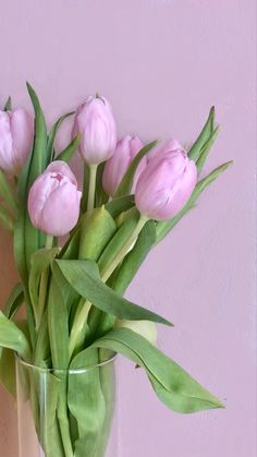 pink tulips are in a clear vase on a table with green leaves and purple wall