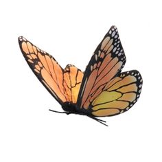 an orange and black butterfly flying in the sky