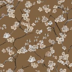 a brown background with white flowers and branches in blooming on top of each other