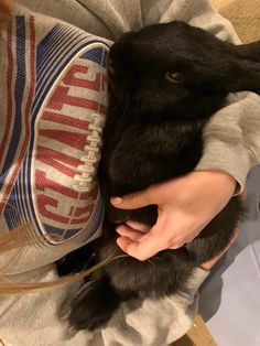 a woman holding a black rabbit in her arms and wearing a sweater on it's lap