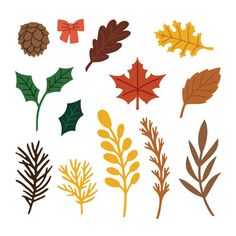 an assortment of autumn leaves and acorns