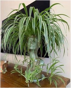 a plant in a green vase sitting on top of a wooden table