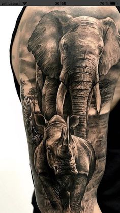 an elephant and rhino tattoo on the back of a man's shoulder, with other elephants