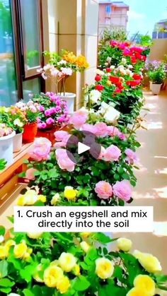 flowers in pots on the side of a building with words that read, crush an egg shell and mix directly into the soil