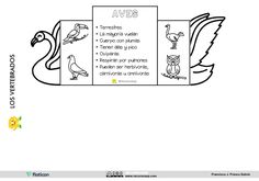 an image of a bird with its wings spread out and the words aves written in spanish