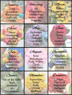 a table with different flowers on it and the names of each flower arrangement in them