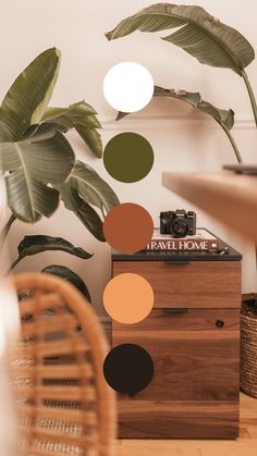 an image of a room with plants on the floor and furniture in front of it