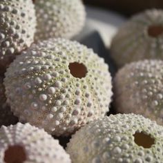 some white balls with holes in them sitting on a table