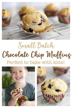 small batch chocolate chip muffins perfect to bake with kids