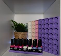 there are six nail polishes on the shelf next to each other in front of a potted plant