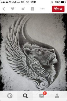 a drawing of a lion with wings on it