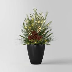 a potted plant with pine cones and berries on it is lit up by christmas lights