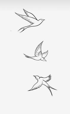 three birds flying in the sky with one bird on its back and another bird on it's side