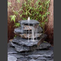 a water fountain in the middle of a garden