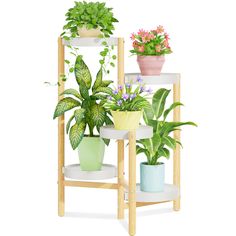 three tiered plant stand with potted plants on each shelf and two different colored pots